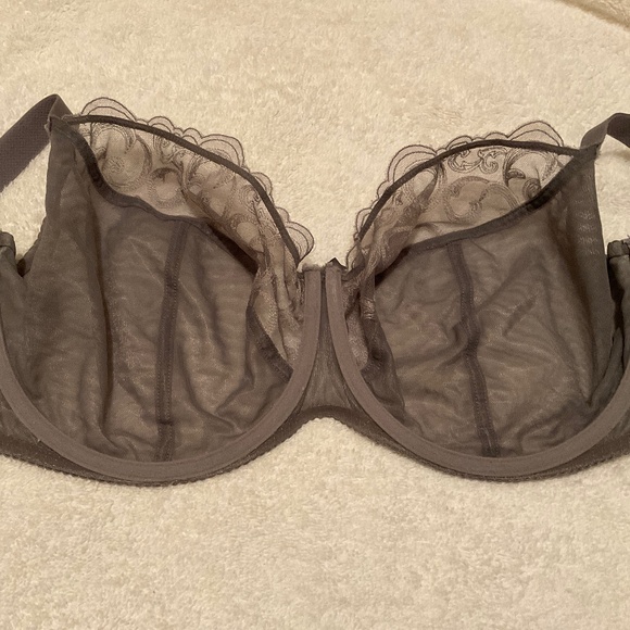 Elegant Sheer Lace Bra in Gray - Picture 3 of 6